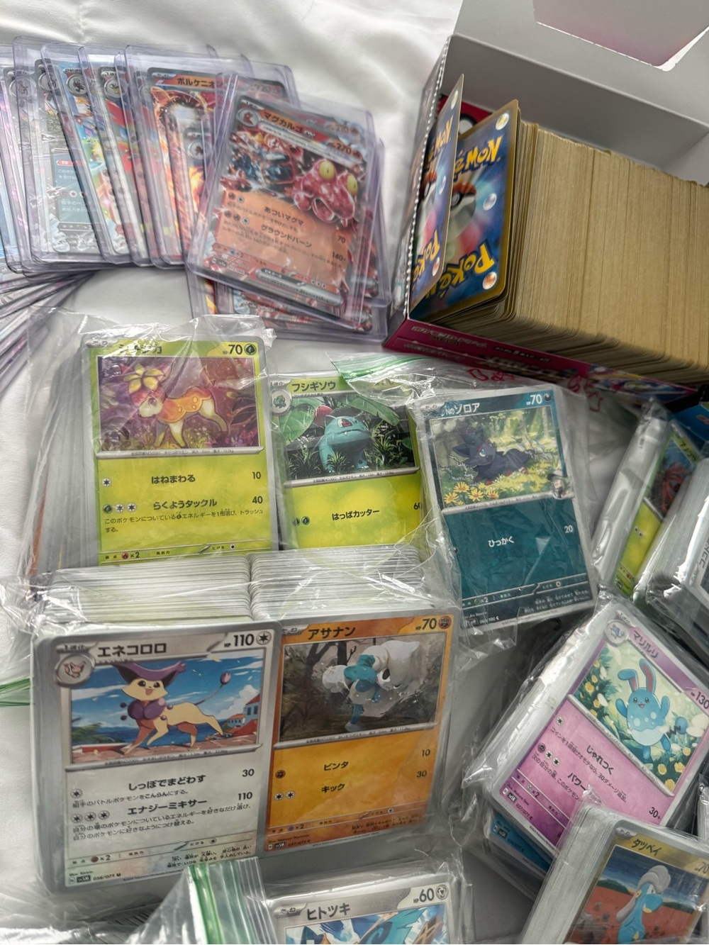 Pokémon Holo Reverse Holo & EX MEGA 100 Card Lot 🔥